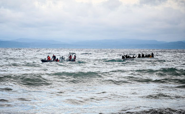 Lathrometanastes Barka Lesbos 021220