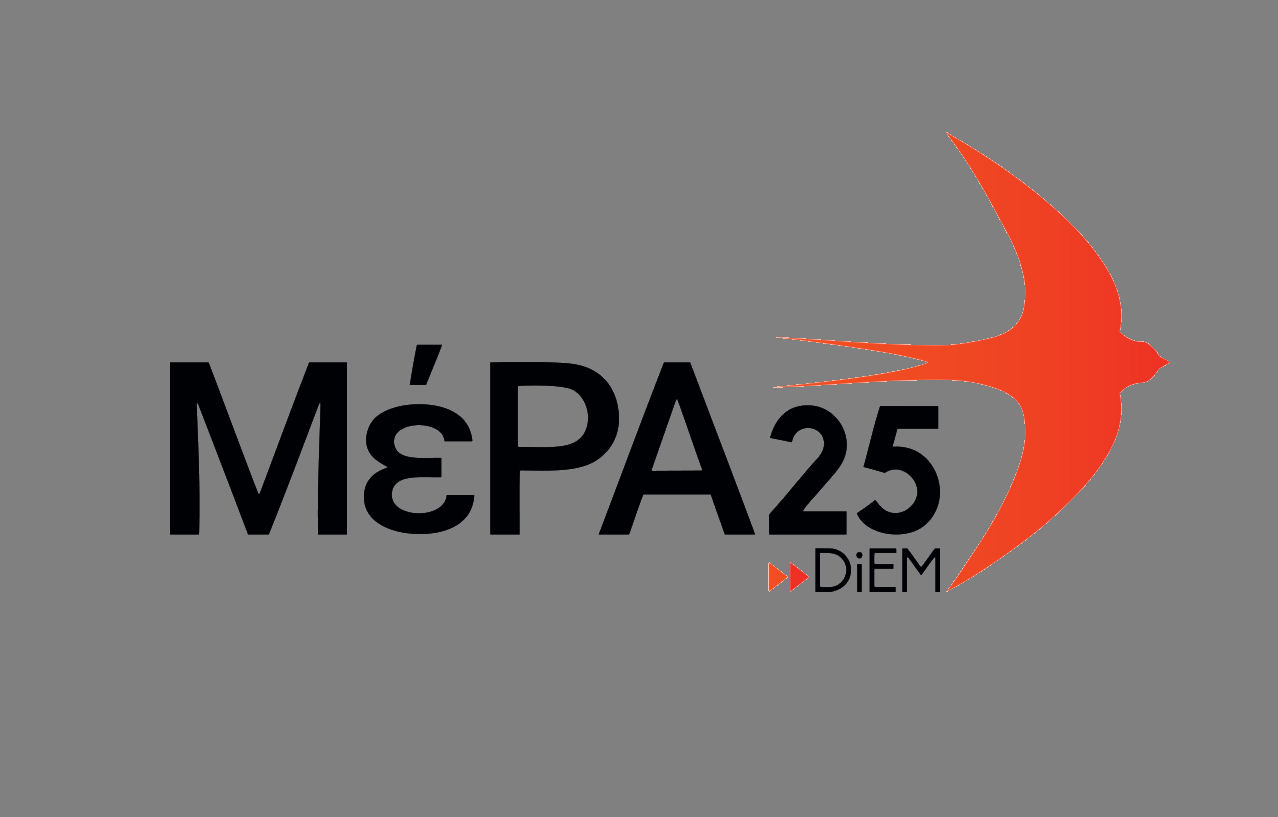 MeRa25 Logo 210820a