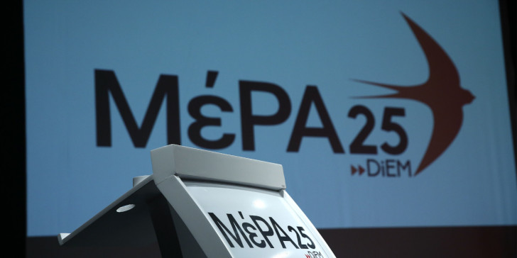 MeRa25 Logo 220620