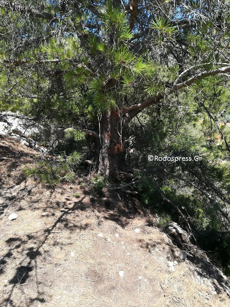 Troxaio Albanos Narkotika Arxaggelos 130718h