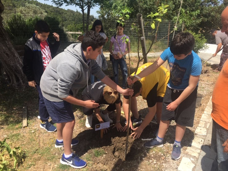 Mathites Petaloudes 230519a