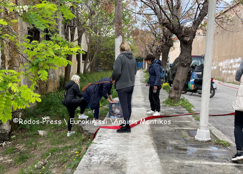 Fotia 6o Dimotiko Sxoleio 310326